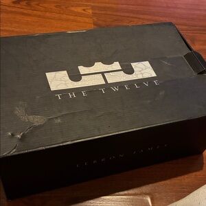 Nike LeBron vintage sneakers!